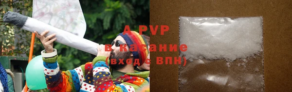 шишки Медвежьегорск
