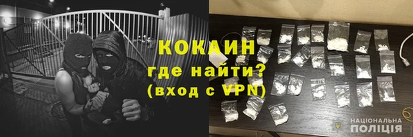 шишки Медвежьегорск