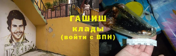 шишки Медвежьегорск