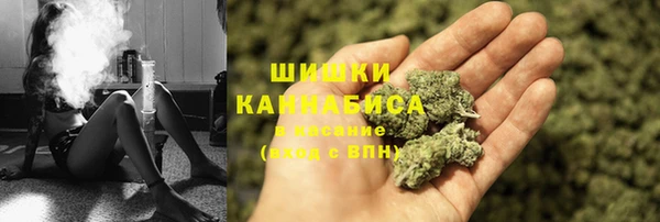 шишки Медвежьегорск