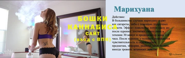 шишки Медвежьегорск