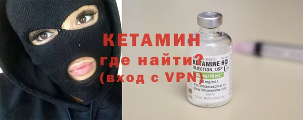 шишки Медвежьегорск