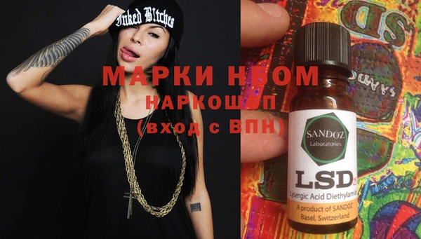 шишки Медвежьегорск