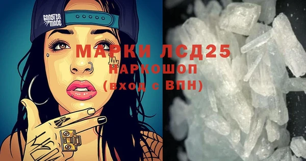 шишки Медвежьегорск