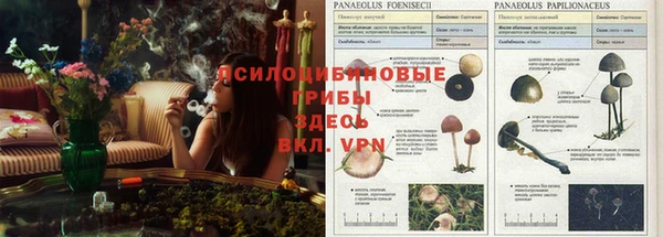 марки nbome Мегион