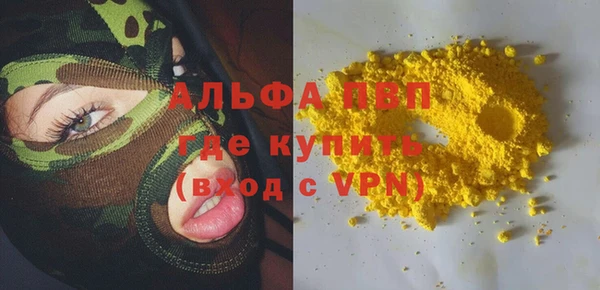 шишки Медвежьегорск