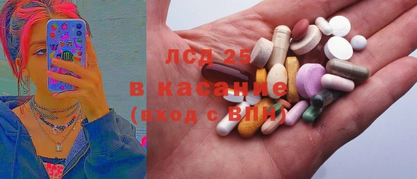 шишки Медвежьегорск