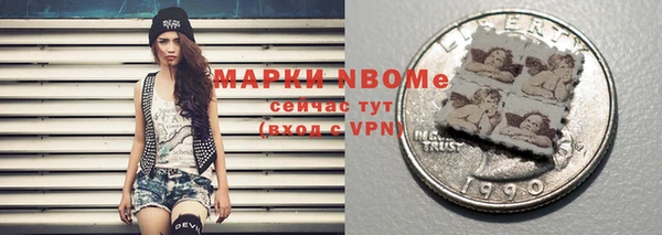 шишки Медвежьегорск