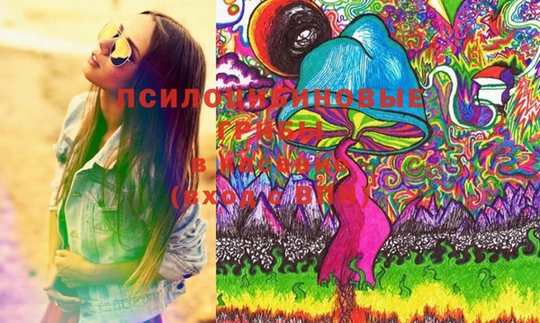 дмт Медногорск
