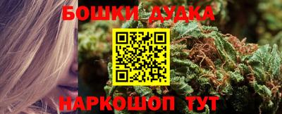 spice Кизилюрт