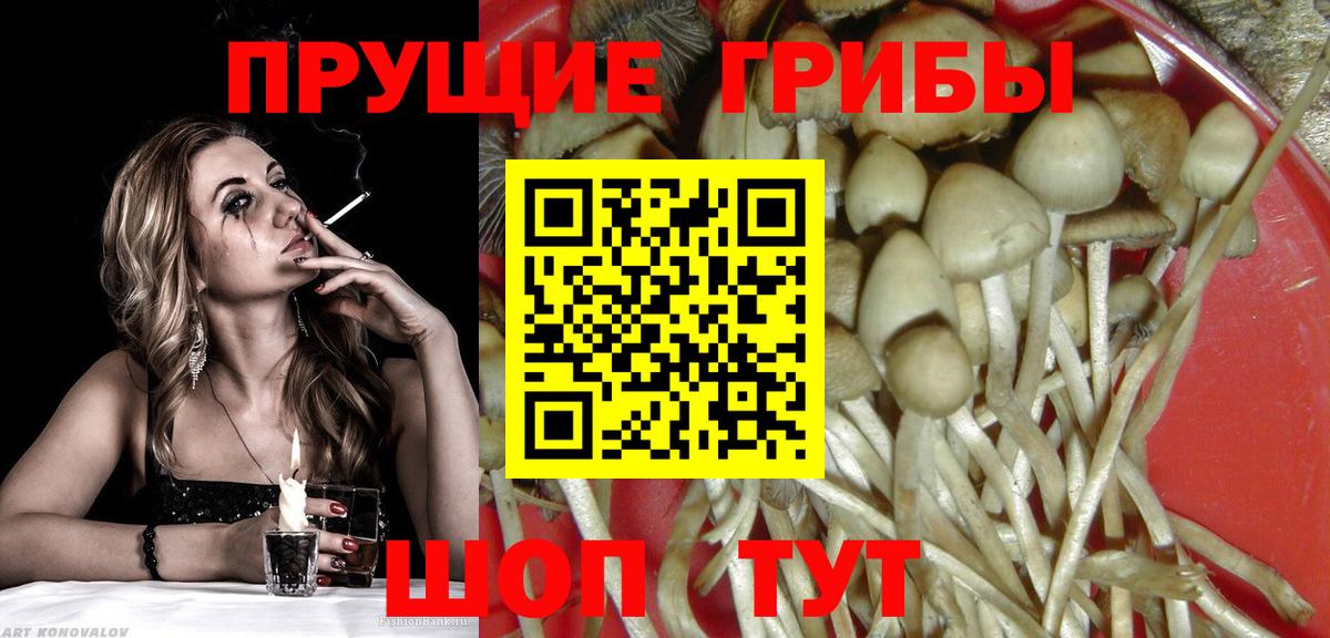 Электросталь  Псилоцибиновые грибы прущие грибы  Вход с VPN 